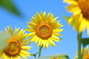 夏休み、家で過ごす時間がもっと楽しくなる工夫【群馬県注文住宅・平屋・新築】