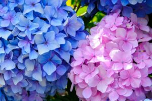 梅雨時期でも心地よい室内空間【藤岡市平屋・新築・リフォーム】